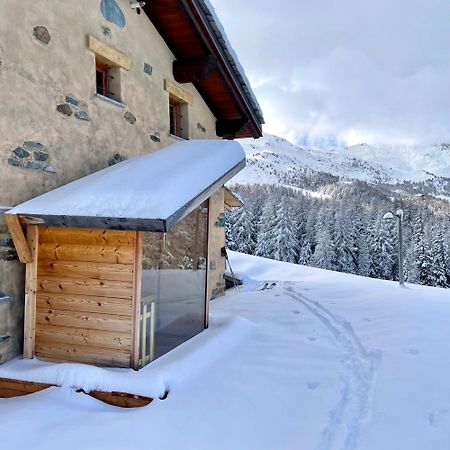 Alpine Dream House - Chalet Грессан Экстерьер фото