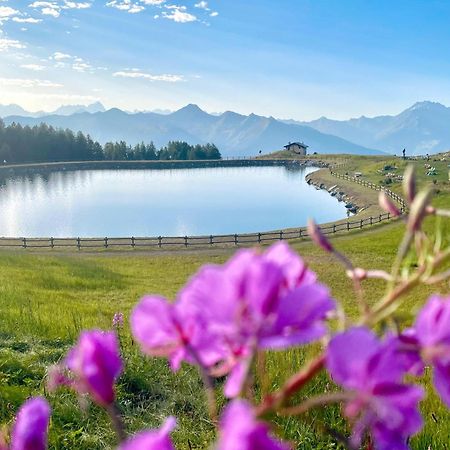 Alpine Dream House - Chalet Грессан Экстерьер фото